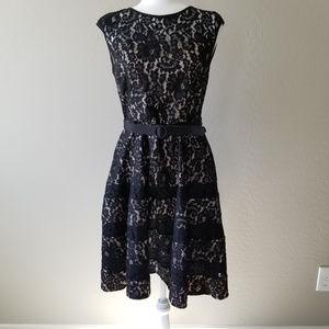 Eliza J Fit and Flare Champagne/Black Lace Dress 8